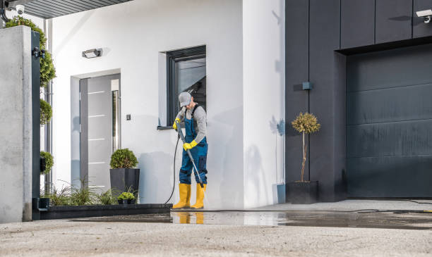 Best Solar Panel Cleaning  in Parchment, MI
